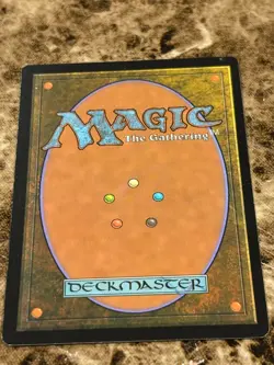 ANIMAL SANCTUARY Magic MTG M21 Core Set 2021 Borderless - Image 2