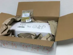 Yu NAGABA x Pokemon Card Game Special BOX Novelty Pikachu Promo - Image 1
