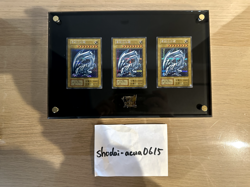 Yu-Gi-Oh 25th ANNIVERSARY ULTIMATE KAIBA SET Blue-Eyes White Dragon F/S Conami - Image 5
