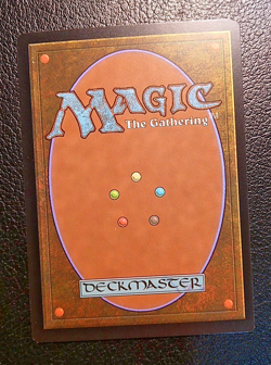 MTG, Delina, Wild Mage 138/281 Adventures in the Forgotten Realms AFR NM - Image 3