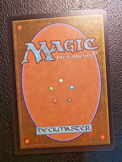 MTG, Delina, Wild Mage 138/281 Adventures in the Forgotten Realms AFR NM - Image 4