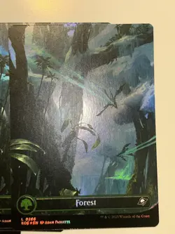 MTG Edge of Eternities EOE BORDERLESS FOIL x50 Full Art Set of 10 each NM - Image 3