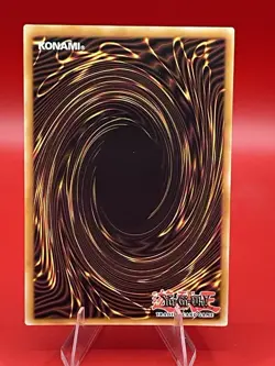Shield of the Millennium Dynasty INFO-EN003 The Infinite Forbidden 1st Edition - Image 2