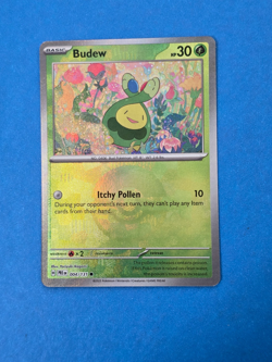 Budew (Poke Ball Pattern) 004/131 Sv: Prismatic Evolutions Holo Pokemon TCG - Image 1