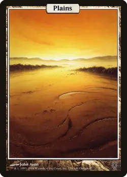 Plains 1x MtG Unhinged HEAVY PLAYED - Image 1