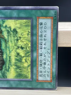 Yugioh- Forest Japanese -No Ref Common 1999 STARTER BOX - Image 2