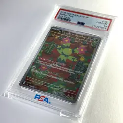 Maractus Art Rare #101 Battle Partners PSA 10 Full Art Pokemon Card 2025 Sv9 - Image 4
