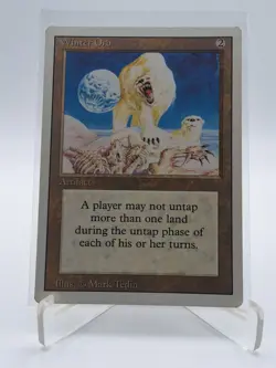 WINTER ORB 1994 REVISED EDITION Magic: The Gathering "Vintage" LP - Image 1