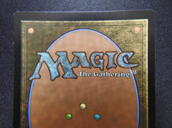 Kodama's Reach FOIL NM/LP [Secret Lair] Mtg Magic Free Tracking! - Image 5