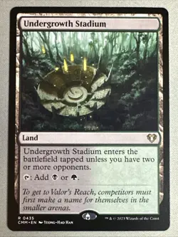 MTG / Undergrowth Stadium / SET / #435 / Regular / Rare / NM - Image 1