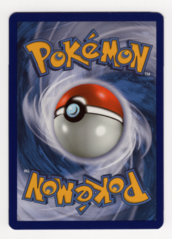 Blastoise 31/149 - NM - Boundaries Crossed, BW Pokemon - Image 2
