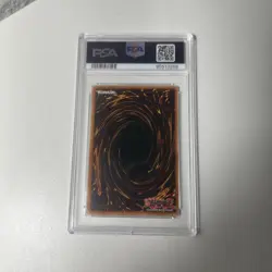 Dark Paladin MFC-105 YuGiOh Magician's Force 2003 Foil PSA 9 MINT - Image 2