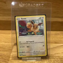 Eevee - SWSH212 Sword & Shield Black Star Promo Pokemon Card - Image 1