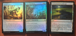 Magic the Gathering - 50 Card Lot - Image 1