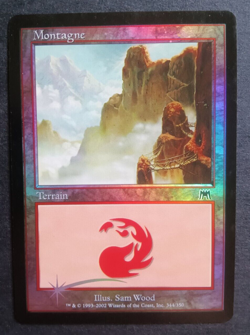 Carte Magic The Gathering MTG Carnage Edition 344/350 - Montagne - FR - Image 1