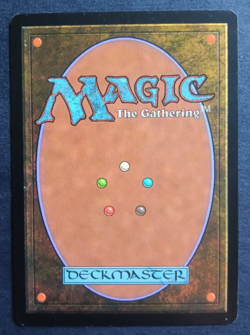Carte Magic The Gathering MTG Carnage Edition 344/350 - Montagne - FR - Image 2