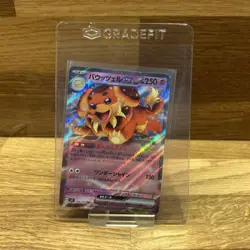 Dachsbun ex 046/102 RR SV7: Stellar Miracle Japanese Pokemon - Image 1