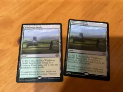 2x WINDSWEPT. HEATH Mm to good condition - Image 1