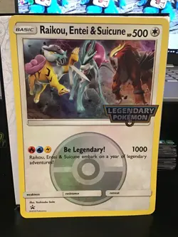Raikou, Entei, & Suicune Jumbo Pokemon Black Star Promo - Image 1