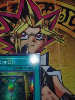 Book of Life pgd-033 Unltd Ed (LP/MP) Super Rare Yu-Gi-Oh! - Image 2