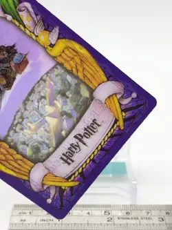 Rubeus Hagrid Harry Potter Chocolate Frog Card Sealed Japan USJ Warner Bros 8 d - Image 5