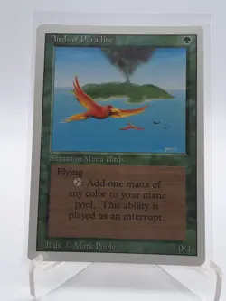 BIRDS OF PARADISE 1994 REVISED EDITION magic: the gathering "never played" - Image 1