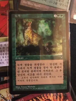 MTG KOREAN Visions Squandered Resources Undiscovered Paradise etc + Bonus - Image 3