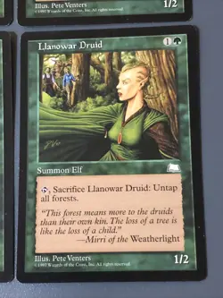 Llanowar Druid X4 Weatherlight Various Cond English See Front/back Pics - Image 2