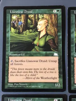 Llanowar Druid X4 Weatherlight Various Cond English See Front/back Pics - Image 5