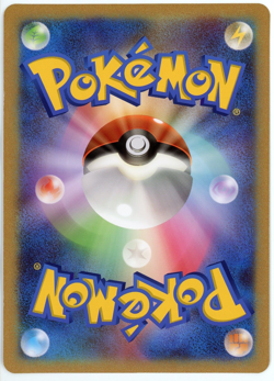 Pokemon Card Zoroark Rayquaza Holo Legendary Clash at the Summit Jumbo Promo - Image 2