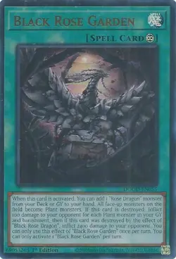 YuGiOh Black Rose Garden Ultra Rare 1st Edition NM (DOOD) - Image 1