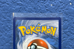 Pokemon TCG Special Delivery Bidoof SWSH177 Black Star Promo Card Near Mint - Image 5