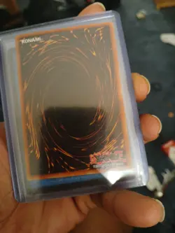 Left Arm of the Forbidden One . - Image 3