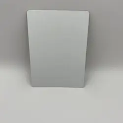 Reitera Card Signed By Dan Scott Magic The Gathering Artist Proof - Image 2