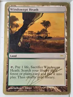Windswept Heath - World Championship Deck - Magic the Gathering MTG Nice! - Image 1