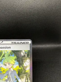 Wally's Compassion 186/132 Special Illustration Rare Pokemon Mega Evolution - Image 2