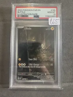 Blitzle 195/182 Illustration Rare 2023 Paradox Rift PSA 10 Graded Pokemon Card - Image 1
