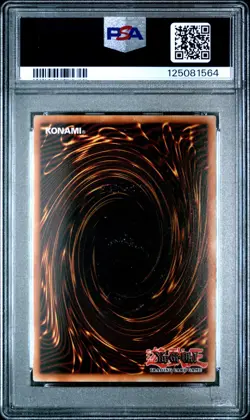 Yu-Gi-Oh! Red Eyes Black Dragon LC01-EN006 25th Anniversary Edition PSA 8 NM-MT - Image 2