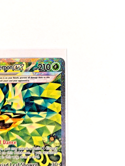 Teal Mask Ogerpon EX 211/167 SIR NM/M POKEMON TCG Twilight Masquerade English - Image 3