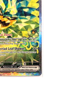 Teal Mask Ogerpon EX 211/167 SIR NM/M POKEMON TCG Twilight Masquerade English - Image 5