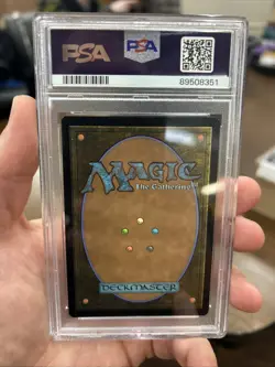 Magic: The Gathering LOTR Tom Bombadil Showcase Surge Foil #823 - Image 2