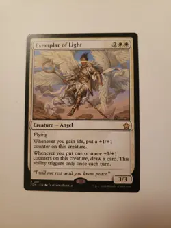 Exemplar of Light Foundations Regular - Image 1