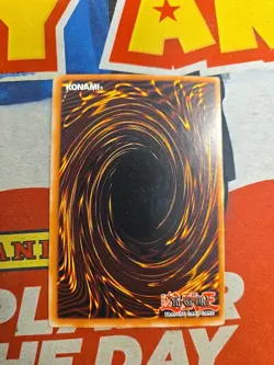 Yugioh TCG Starter Deck Pegasus Graceful Charity Holo Lp Card #SDP-040 - Image 4