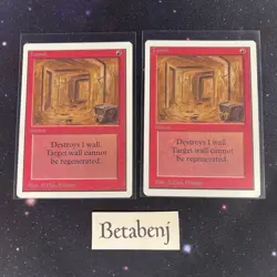 1x MTG Unlimited Tunnel from Estate Collection - Image 1