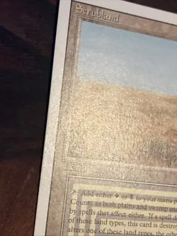 Scrubland X1 Mtg Revised Lp/Nm- - Image 4
