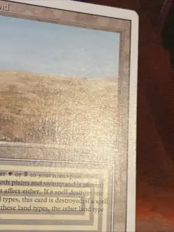 Scrubland X1 Mtg Revised Lp/Nm- - Image 5