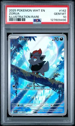 Pokemon TCG White Flare Zorua #142 Illustration Rare PSA 10 GEM MINT *LOW POP* - Image 1