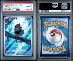 Pokemon TCG White Flare Zorua #142 Illustration Rare PSA 10 GEM MINT *LOW POP* - Image 3
