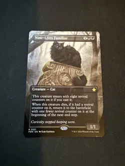 Nine-Lives Familiar (Borderless) Foundations Regular - Image 1