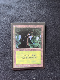 Magic the Gathering All Five Basic Lands BETA Never Played - Image 5